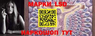 гашик Нальчик