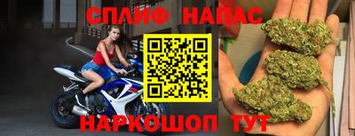 гашик Нальчик