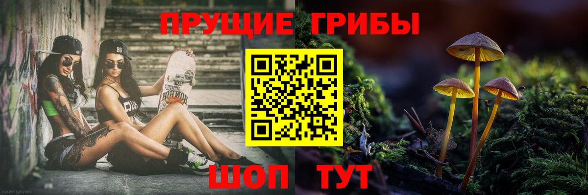 Псилоцибиновые грибы ЛСД Усолье-Сибирское