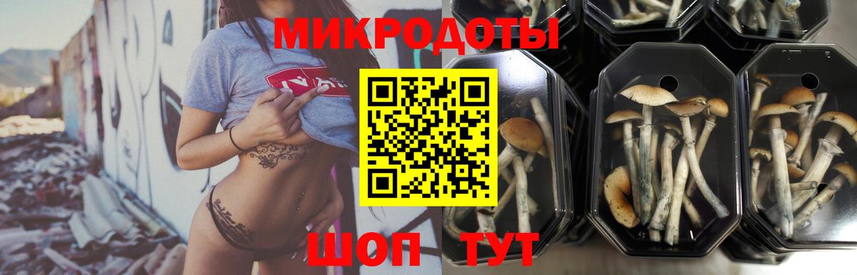 Псилоцибиновые грибы ЛСД  Галлюциногенные грибы Magic Shrooms  Усолье-Сибирское  Вход с VPN 
